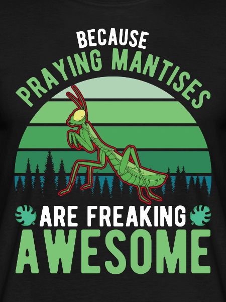 Praying Mantis Mantis Mantis