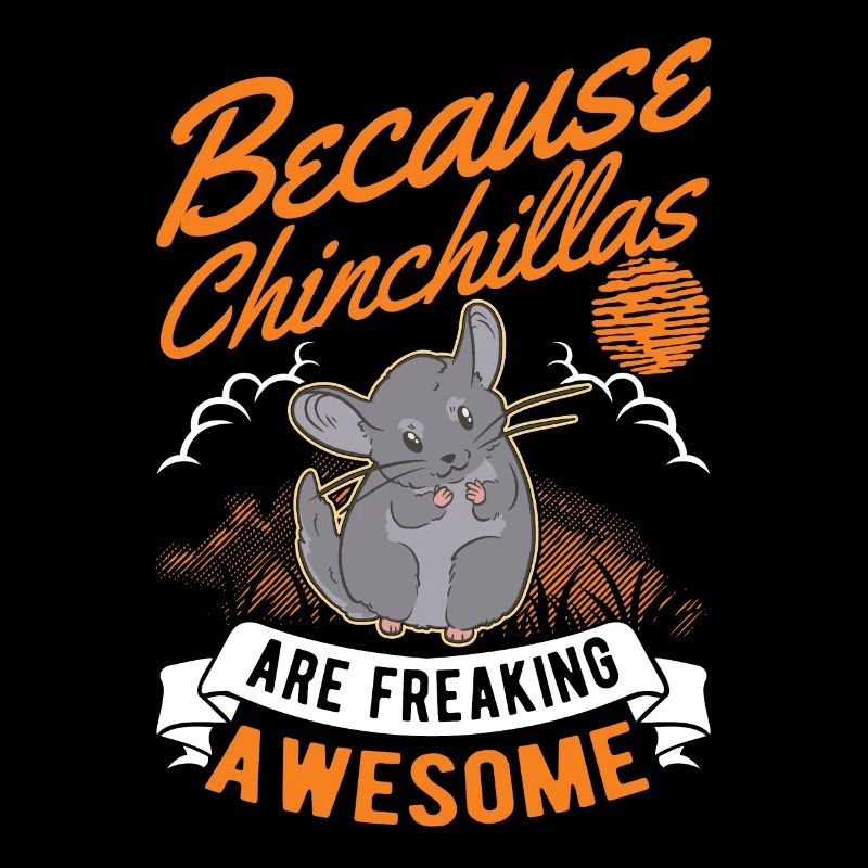Parce que les chinchillas sont vraiment géniaux