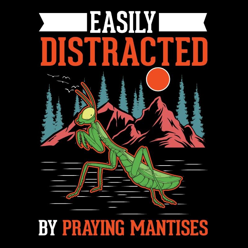 Gottesanbeterin Praying Mantis Fangschrecke