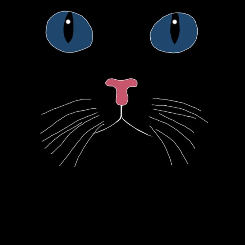 BLACK CAT