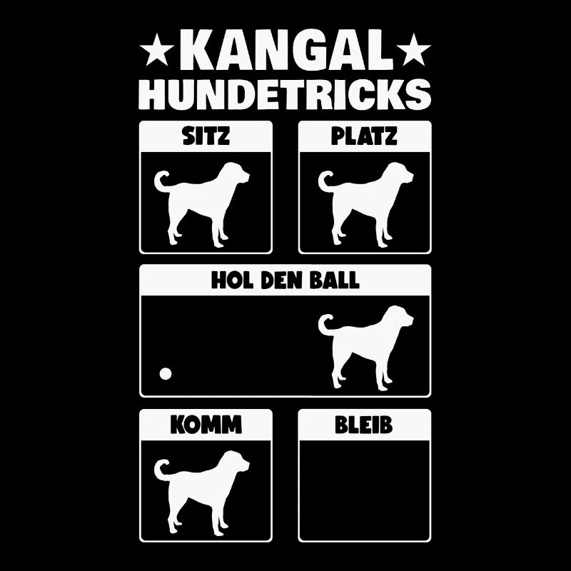 Kangal Dog Tricks Shepherd Dog Karabash Tricks