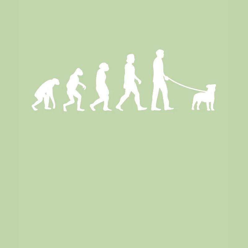 Parson Russell Terrier Évolution