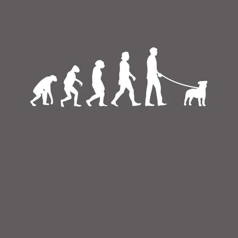 Parson Russell Terrier Evolution