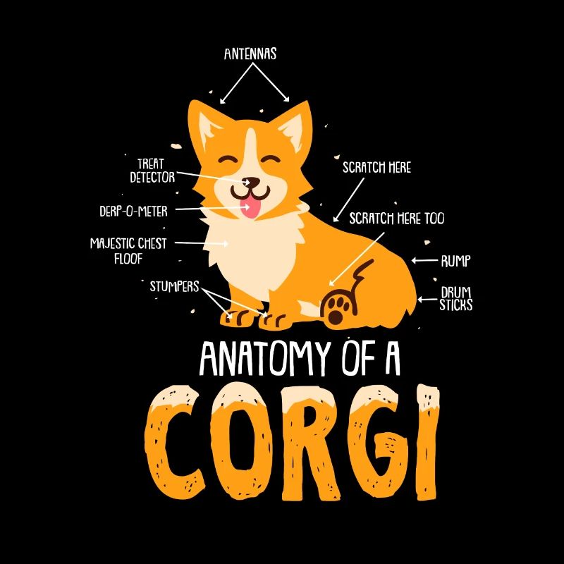 Anatomie eines Corgi Hund Geschenk