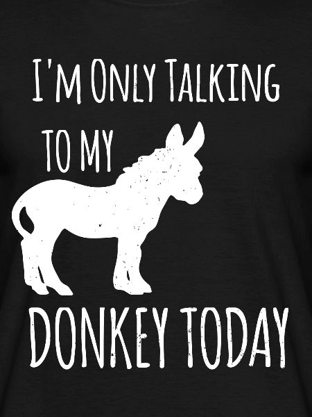 Donkey