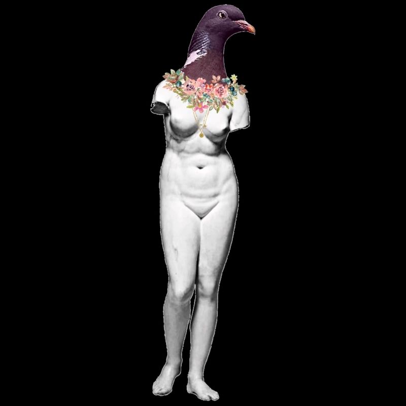 Ms. Pigeon