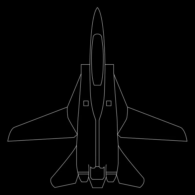 F-14 Tomcat Kampfflugzeug