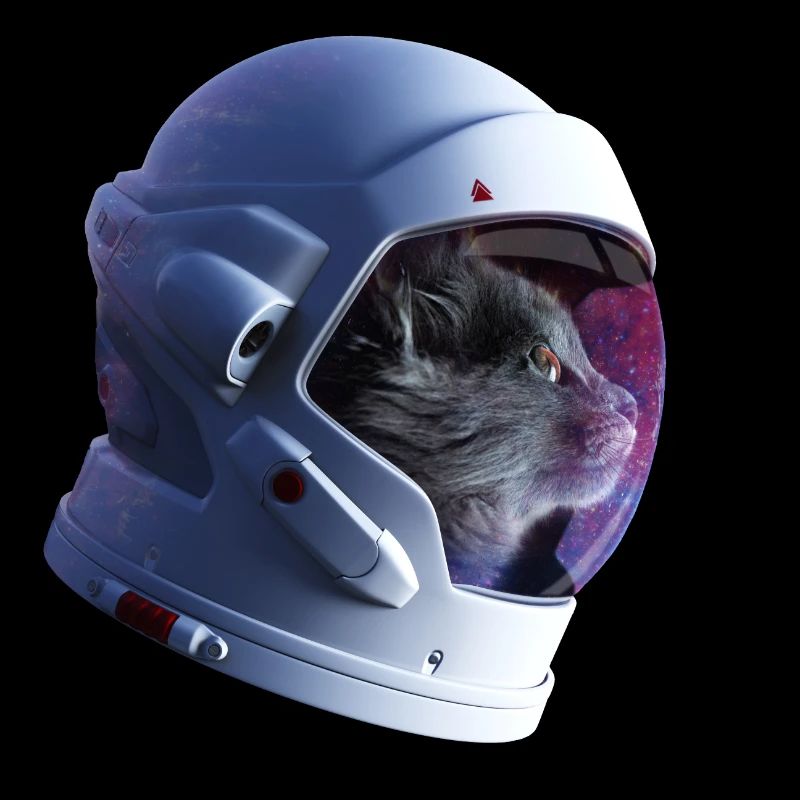 Cat Meow Kitty astronaute maman