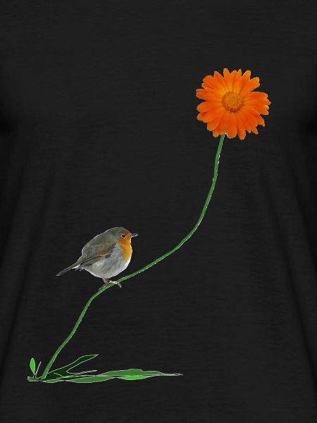 Rotkehlchen mit Blume