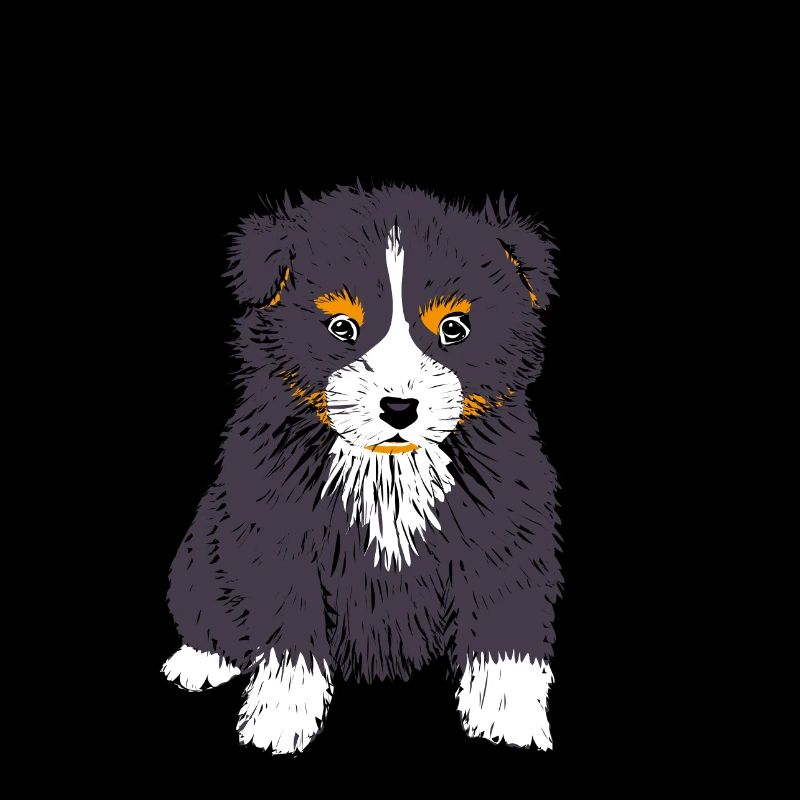 Australian Shepherd, black tri