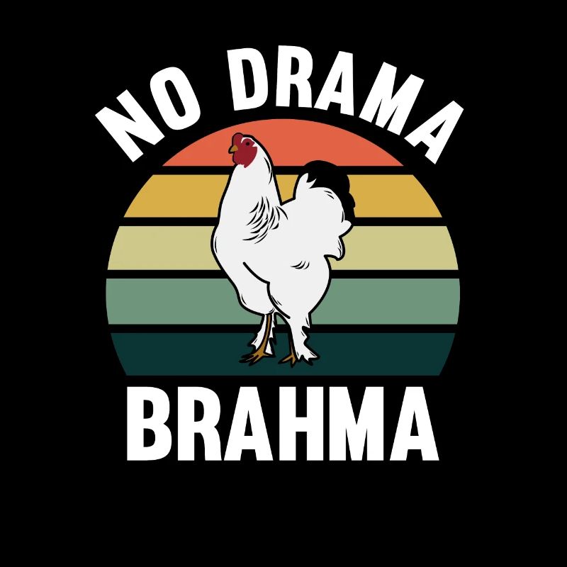 No Drama Brahma Poulets Élevage de poulet coq