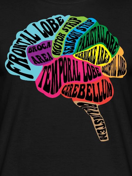 Neurologist Brain Map