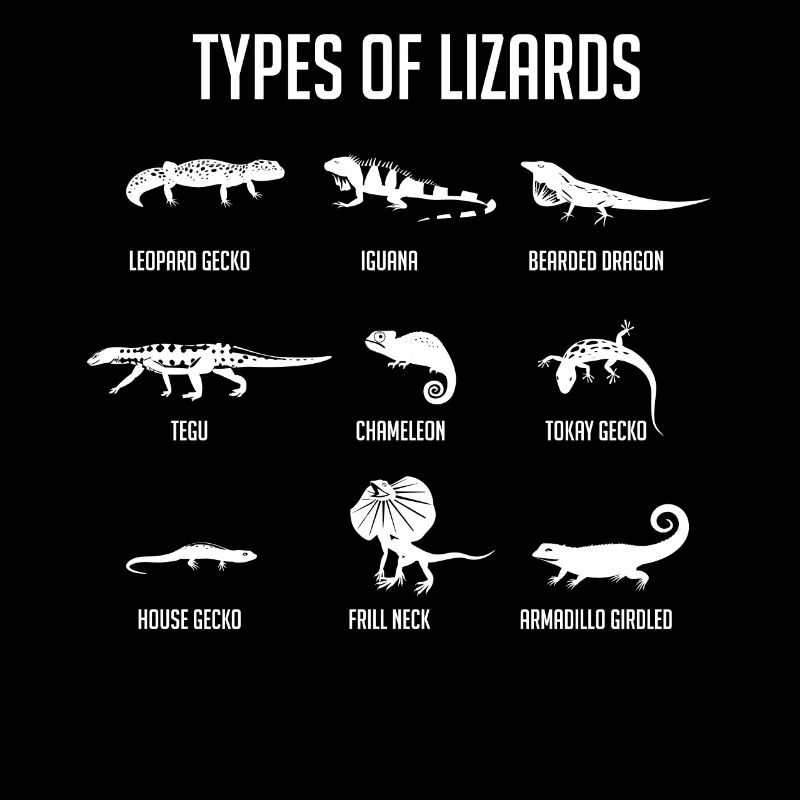 Types de lézards, lézards, reptiles