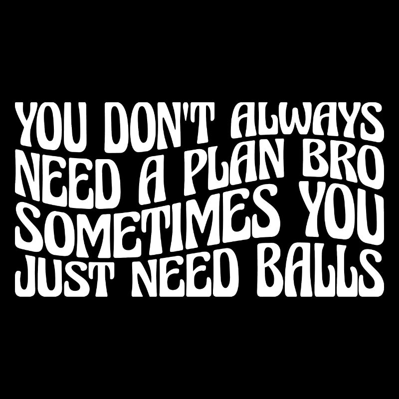 No Plan Needed Just Balls Bro 4