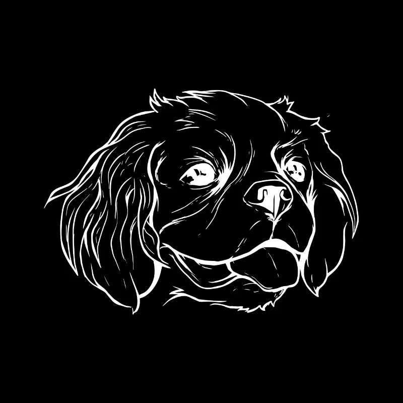 Cavalier Hund