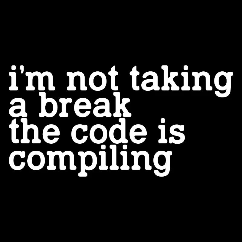 I'm Not Taking A Break, The Code Is Compiling