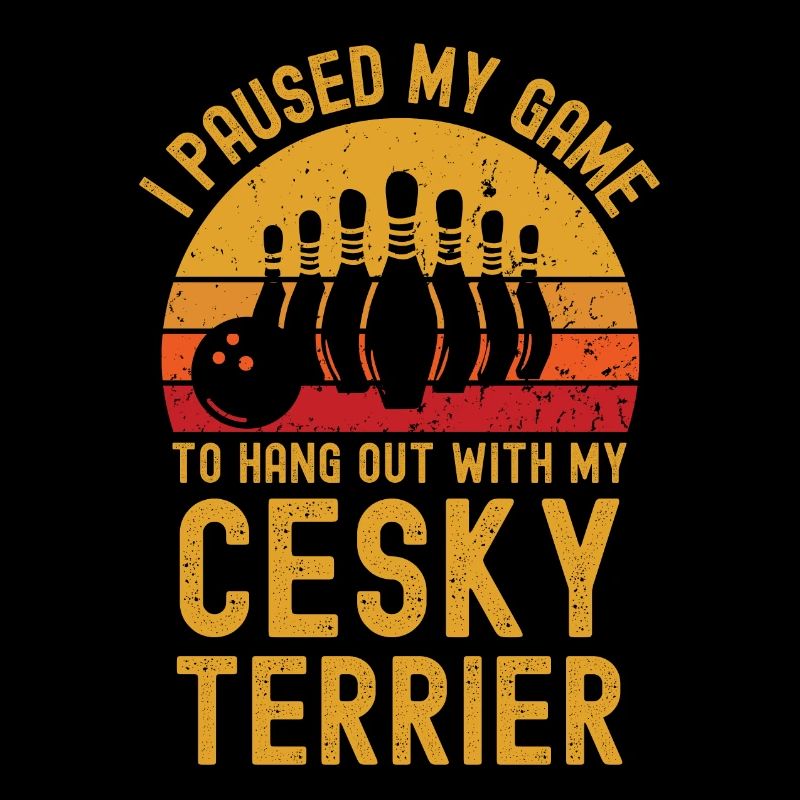 Bowling et Cesky Terriers