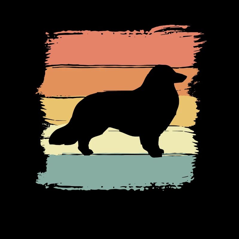 Collie Retro
