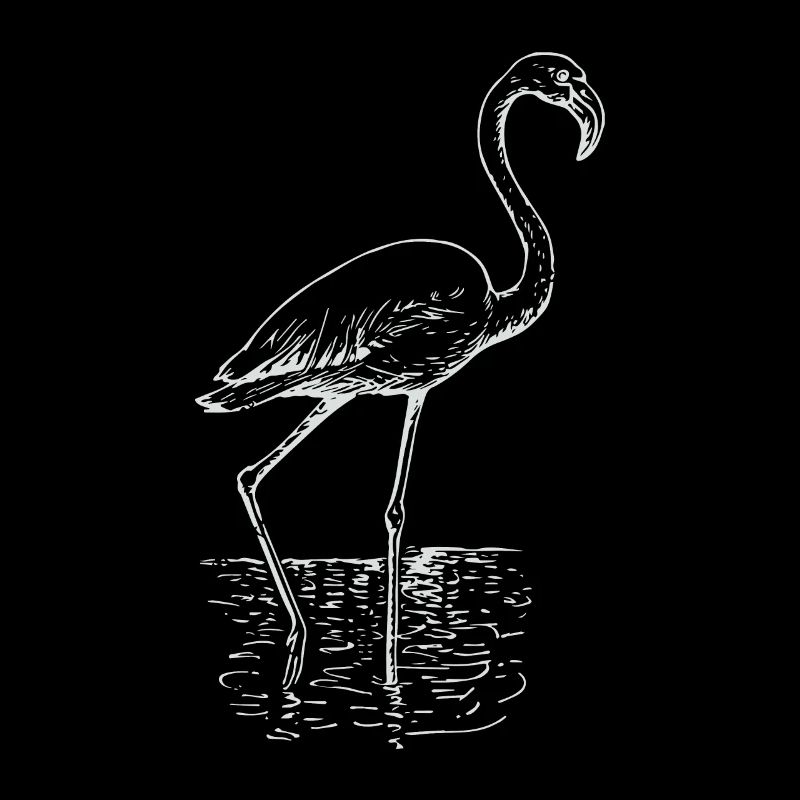 Flamingo tegning