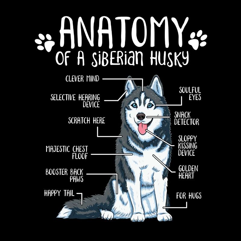 Cadeau de chien de propriétaire de chien d'anatomie de Husky sibérien