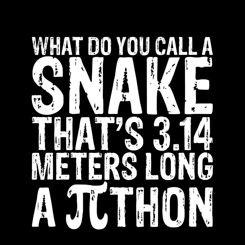 Un serpent de 3,14 mètres de long, un Pithon 4