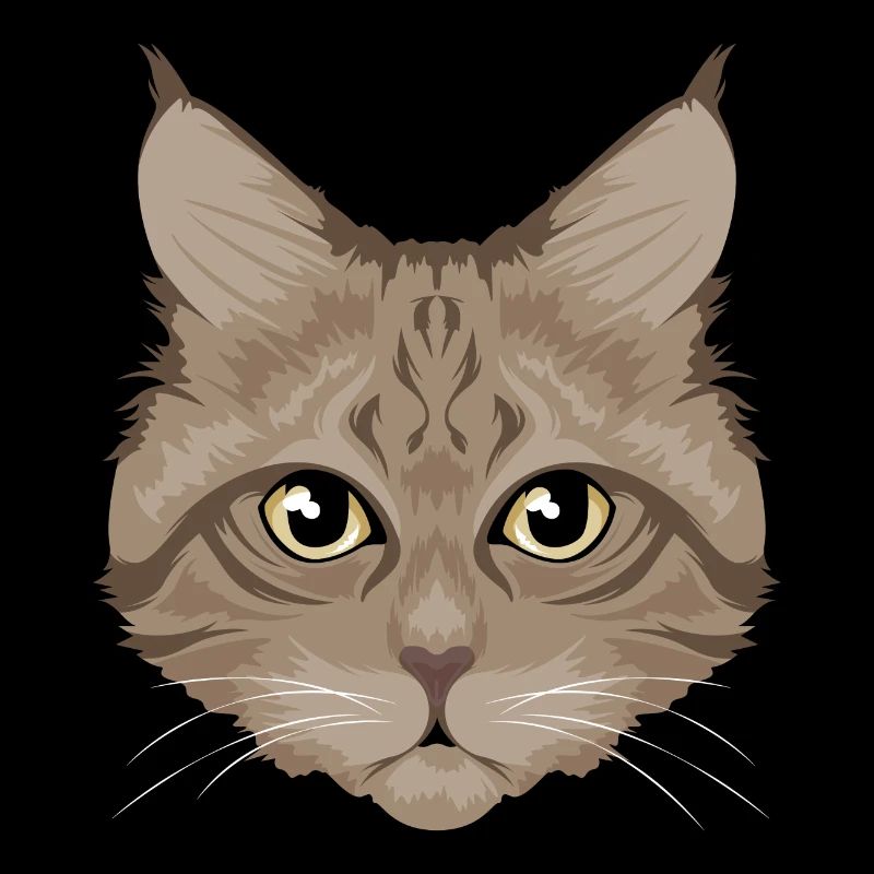 Chat / chat brun