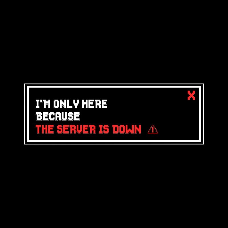 Gamer I'm only here because the server is down
