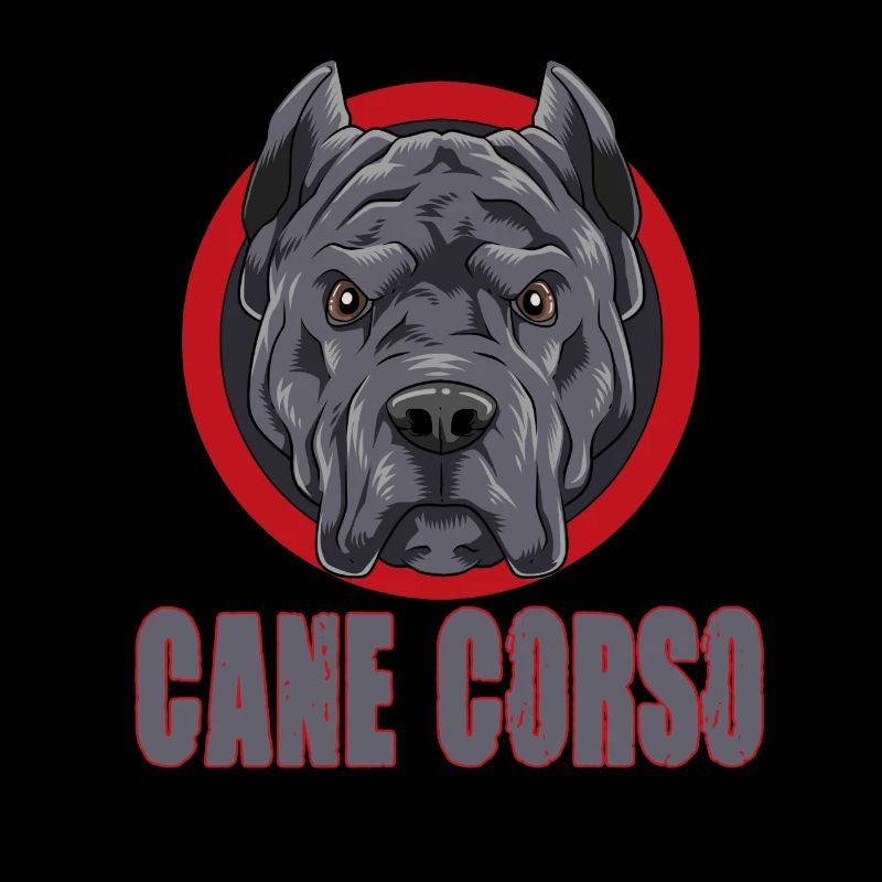 Cane Corso für einen Cane Corso Besitzer Cane