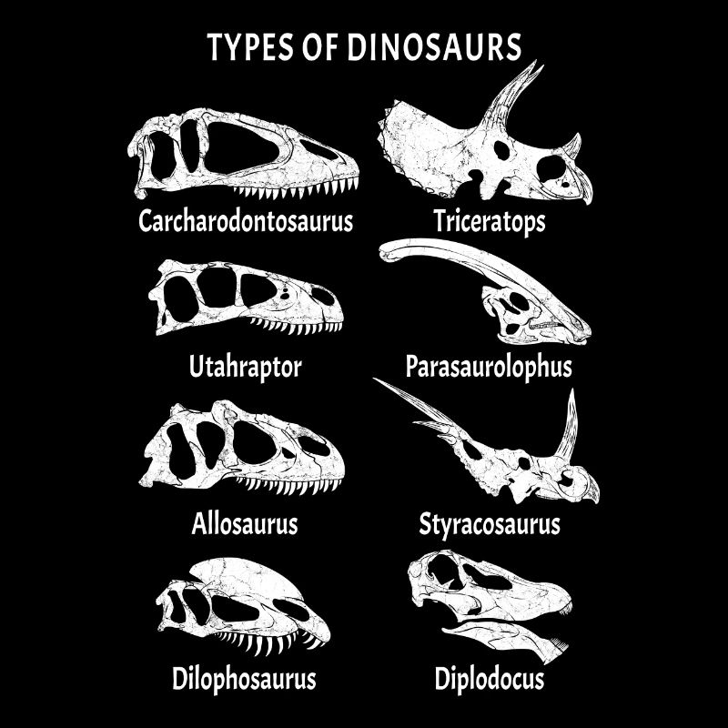 Dinosaur Fossils