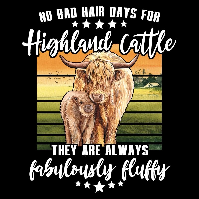 Highland cattle cattle