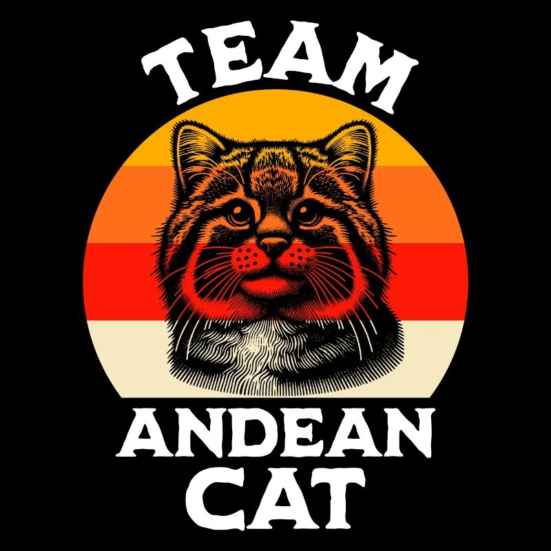 Chat Dicton du chat des Andes