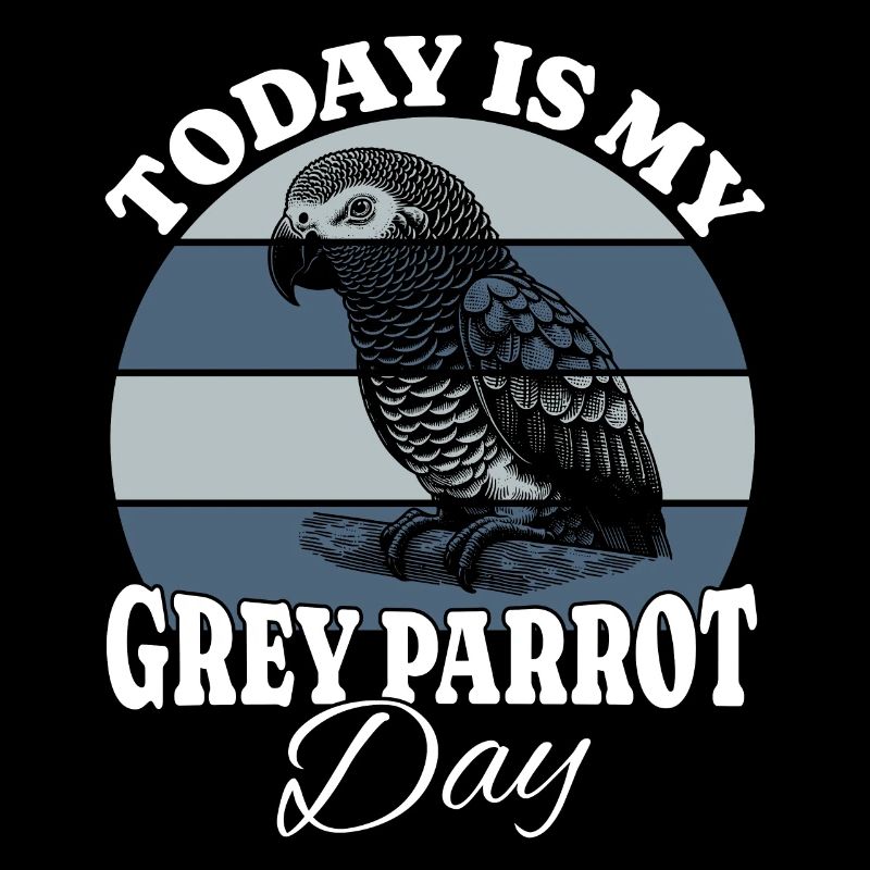 Graupapagei Grey Parrot