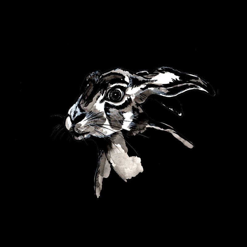 Brown hare
