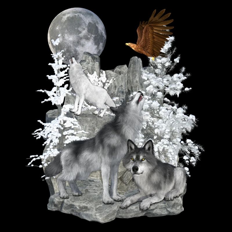 Wölfe,Winter, Adler, Mond