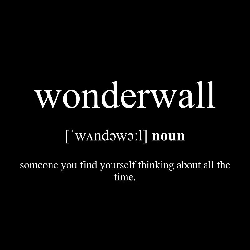 Wonderwall (mur de protection) Black Edition