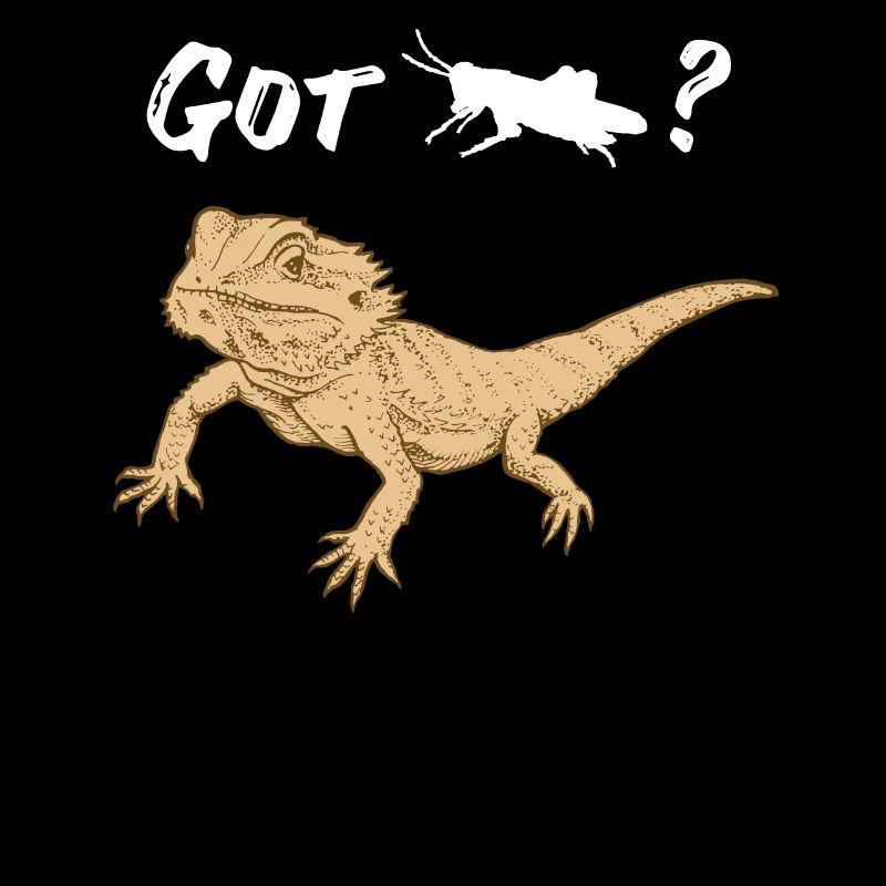 Bearded dragon asks for Locust Reptile Lizard