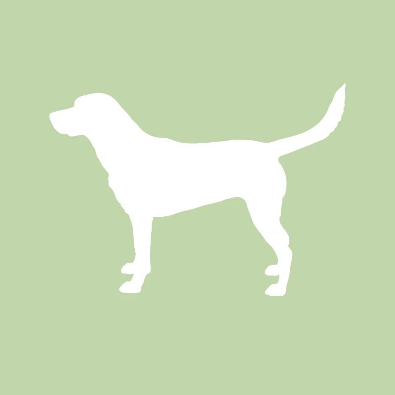 Labrador