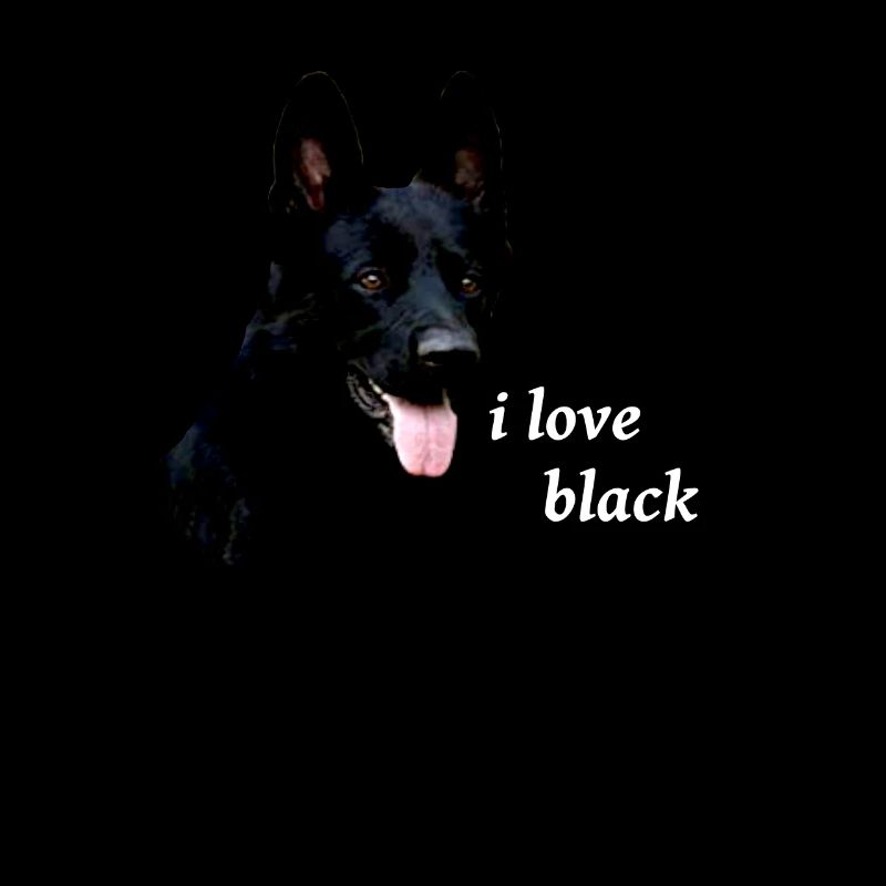 Shepherd german shepherd black dog