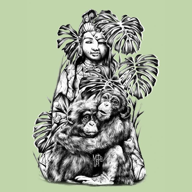 chimpanzee