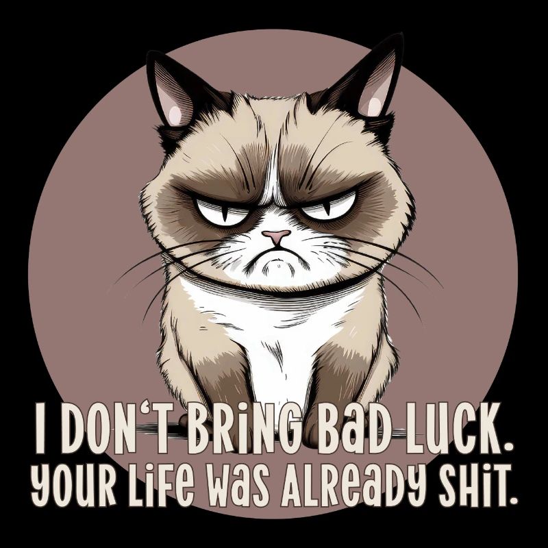 Chat noir malchance chat noir malheur chances