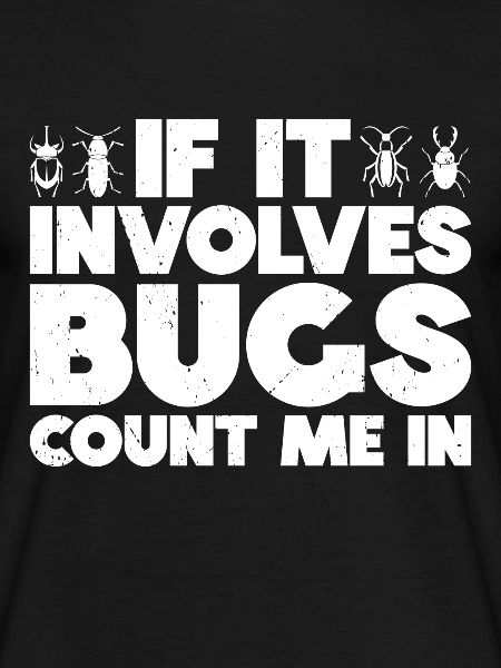 Insecte