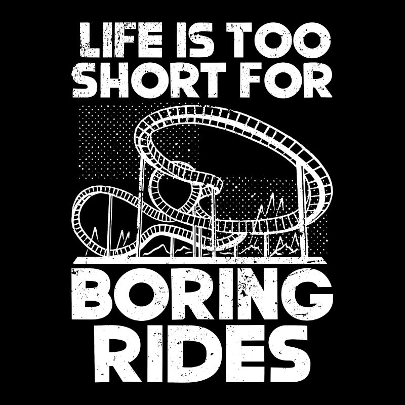 Roller Coaster Amusement Park Roller Coaster Ride