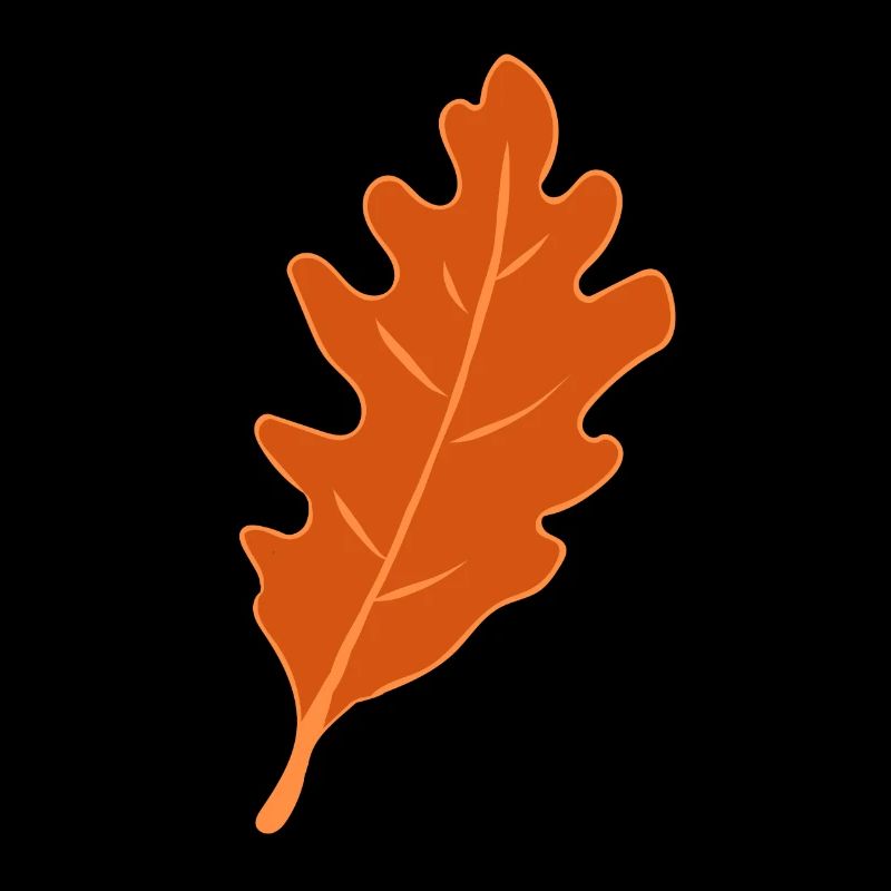 Chêne - Feuille de chêne - Automne