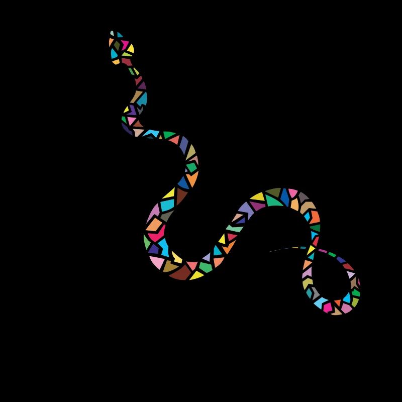 Serpent Coloré - Colorful snake
