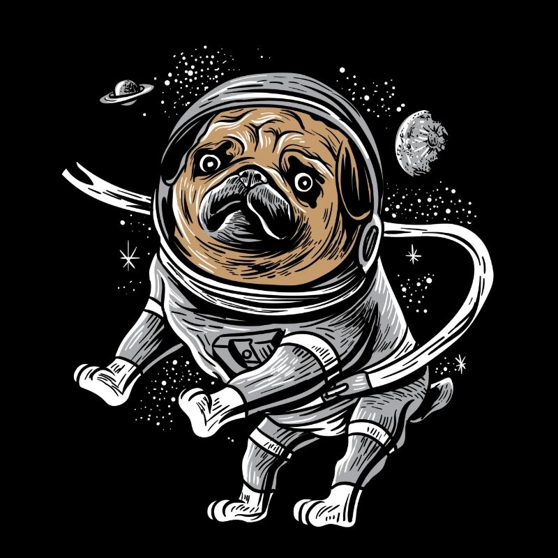 Astronaut Pug Astropug Pet for Space Pug Lover