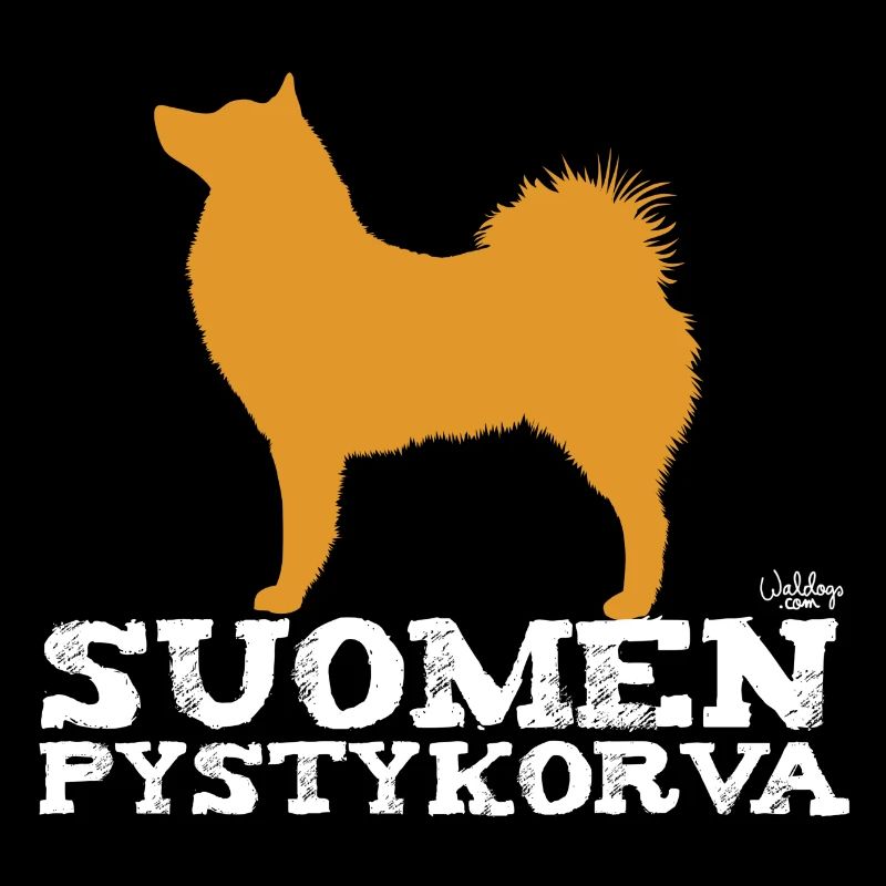 Spitz finlandais