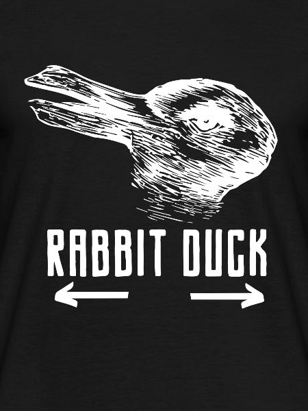 Rabbit duck