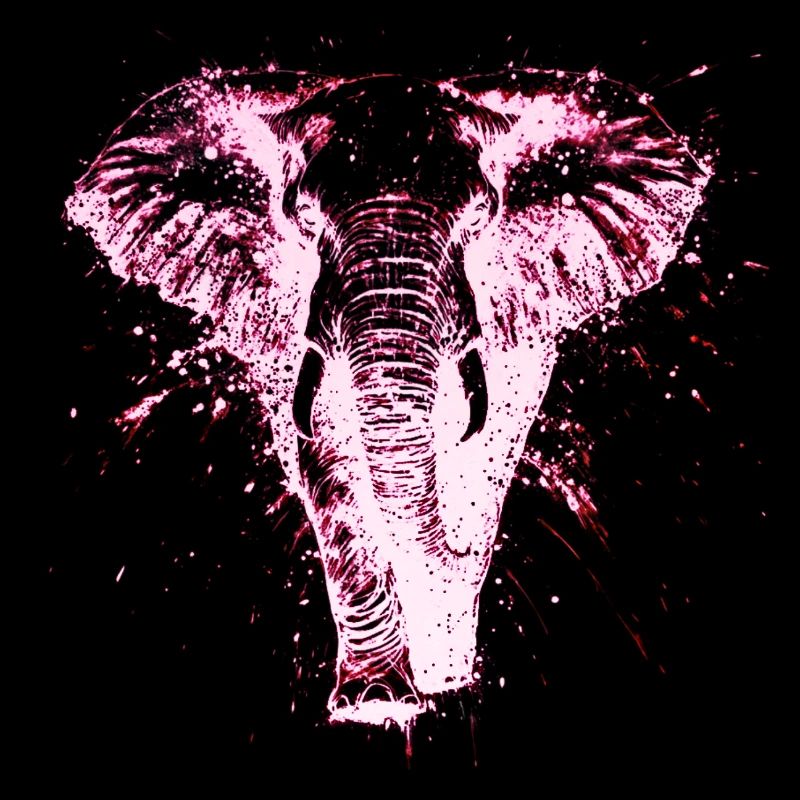 Graffiti Eléphant Electro