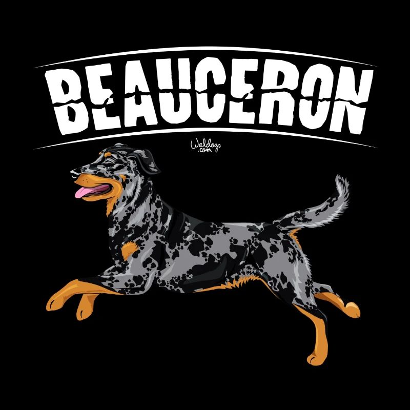 Beauceron