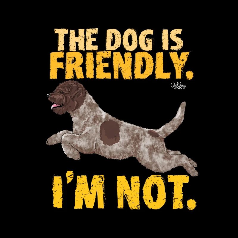 lagottofriendly